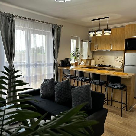 Apartament Elena Sibiu Extérieur photo