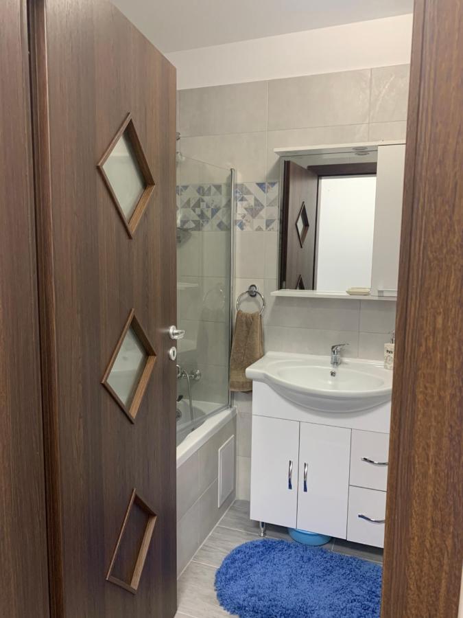 Apartament Elena Sibiu Extérieur photo