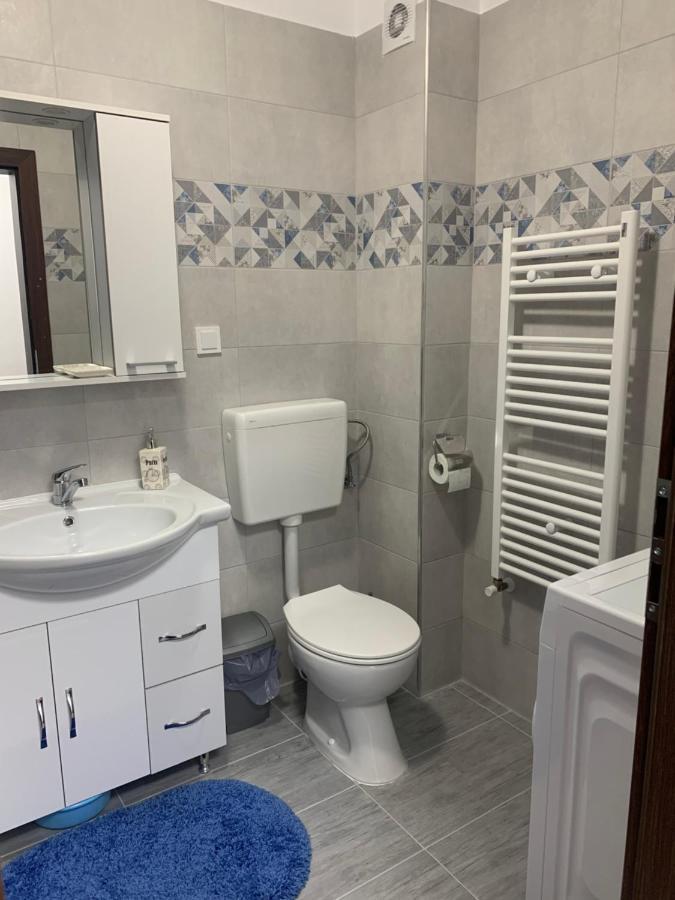Apartament Elena Sibiu Extérieur photo