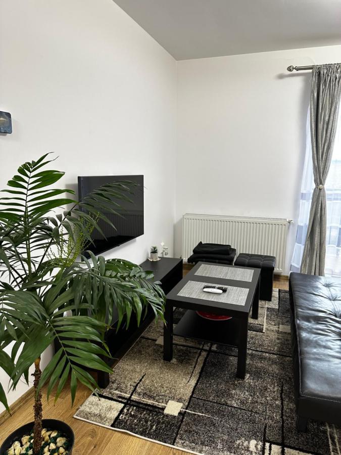 Apartament Elena Sibiu Extérieur photo