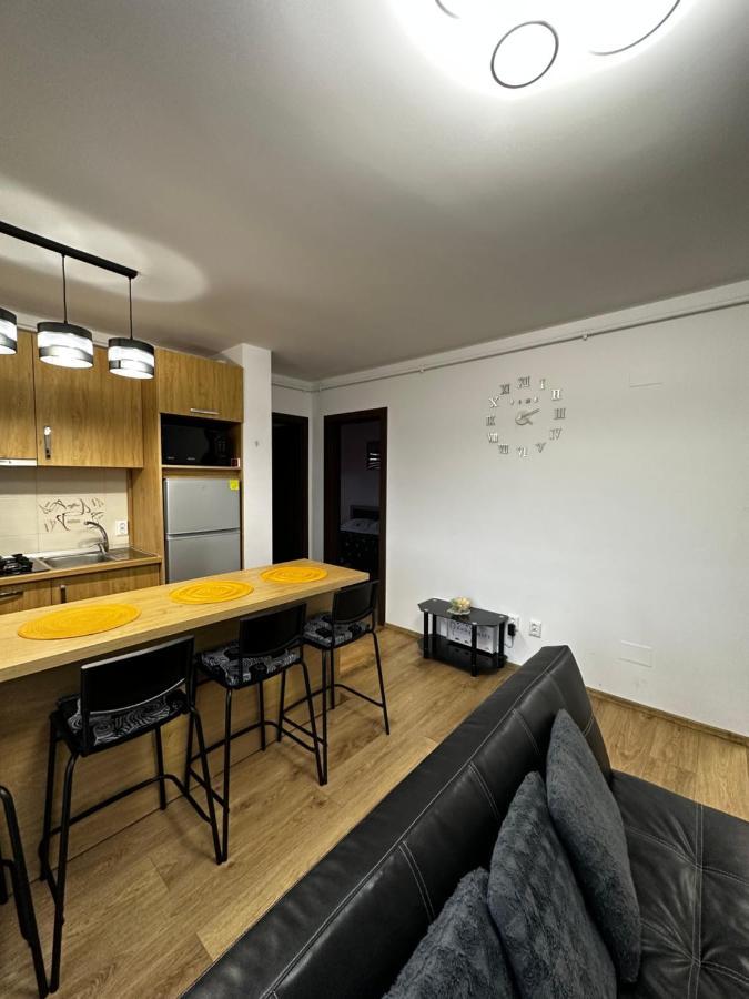 Apartament Elena Sibiu Extérieur photo
