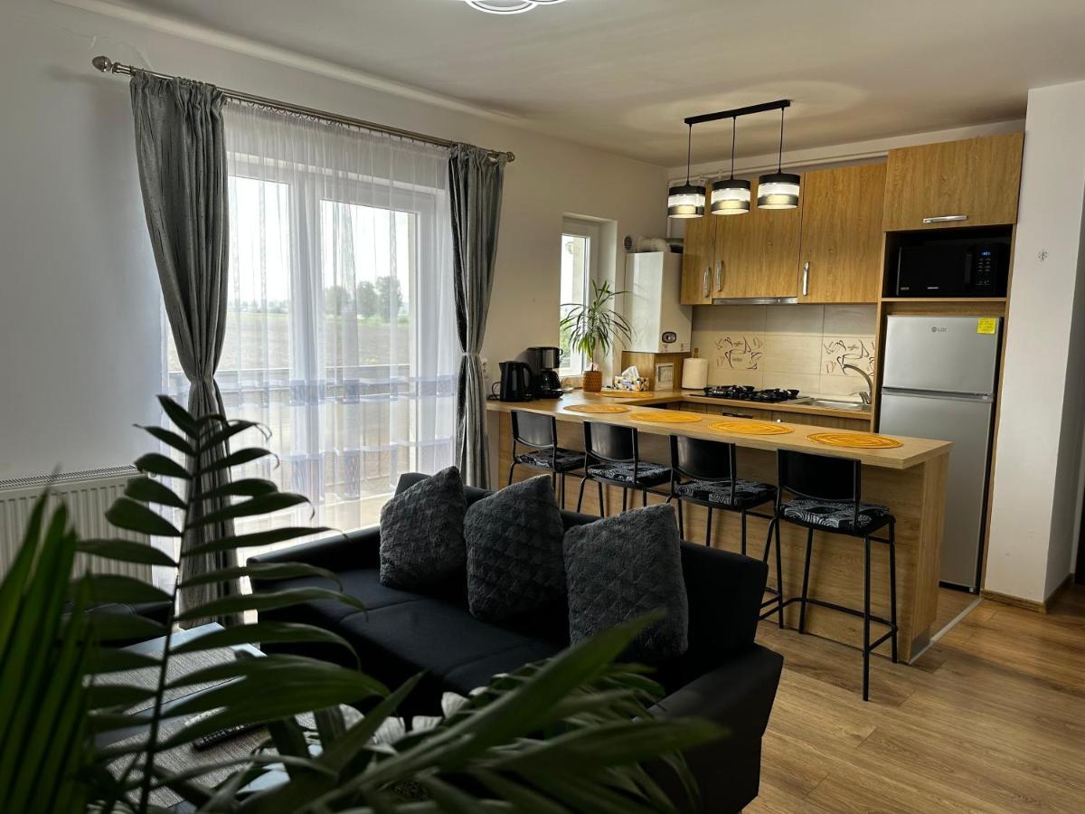 Apartament Elena Sibiu Extérieur photo