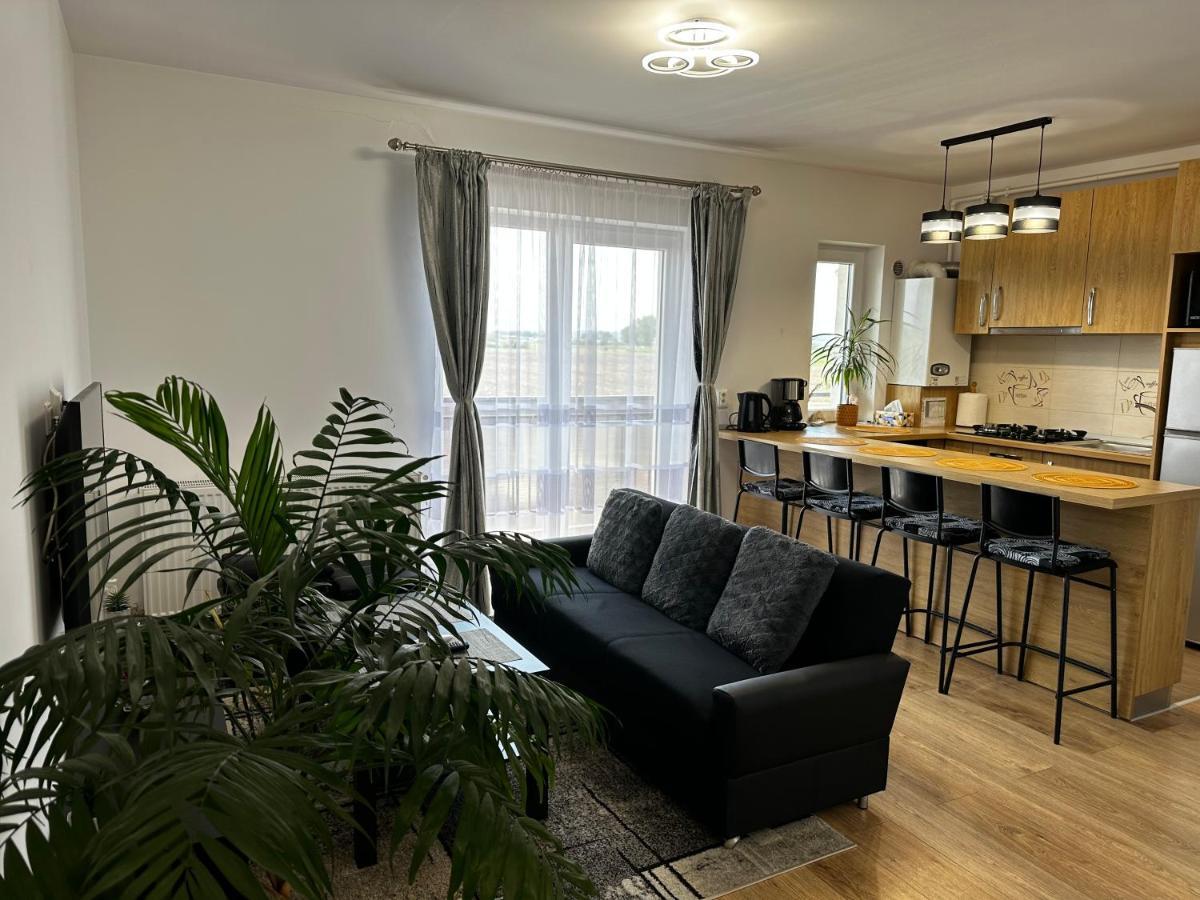 Apartament Elena Sibiu Extérieur photo